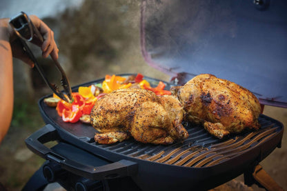 Napoleon TravelQ™ 285 Portable Propane Gas Grill - TQ285-RD-1-A